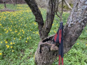 ¡Feliz Primavera! Que el sol nos abrace fuerte y que la naturaleza nos contagie su fuerza en nuestras rutas.